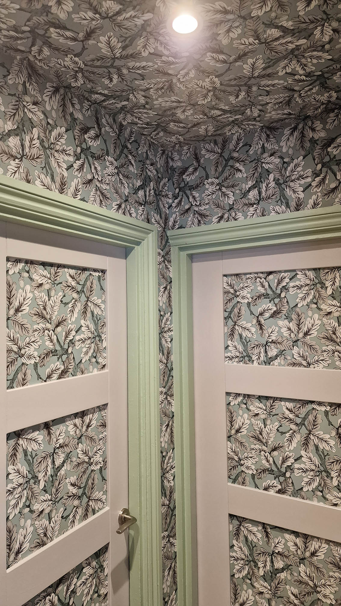 Leaves patterned wallpaper installed by Bluespec Decorating Limited wallpaper specialists on a ceiling, walls and door frames. There are two doors and a corner between them.