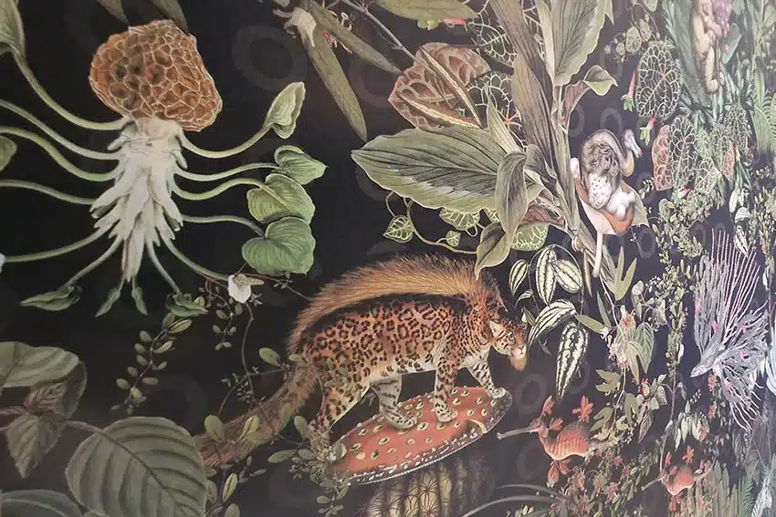 Installation of Artes Menagerie of Extinct Animals wallpaper by our wallpaper installers.